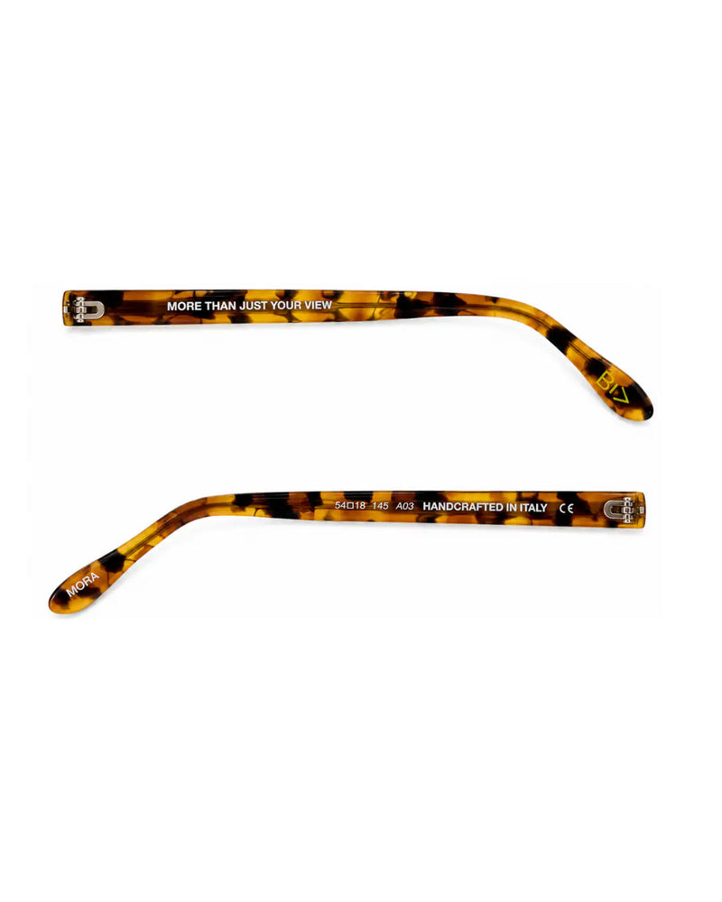 MORA | WILD TORTOISE