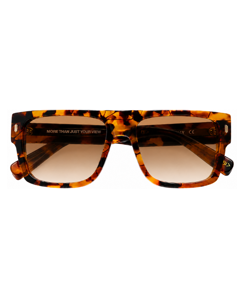 AIR | WILD TORTOISE