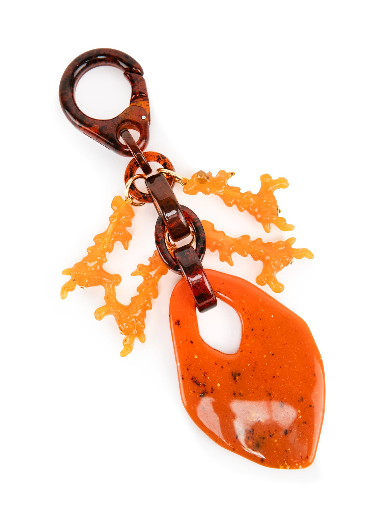 CHARM | CORAL REEF