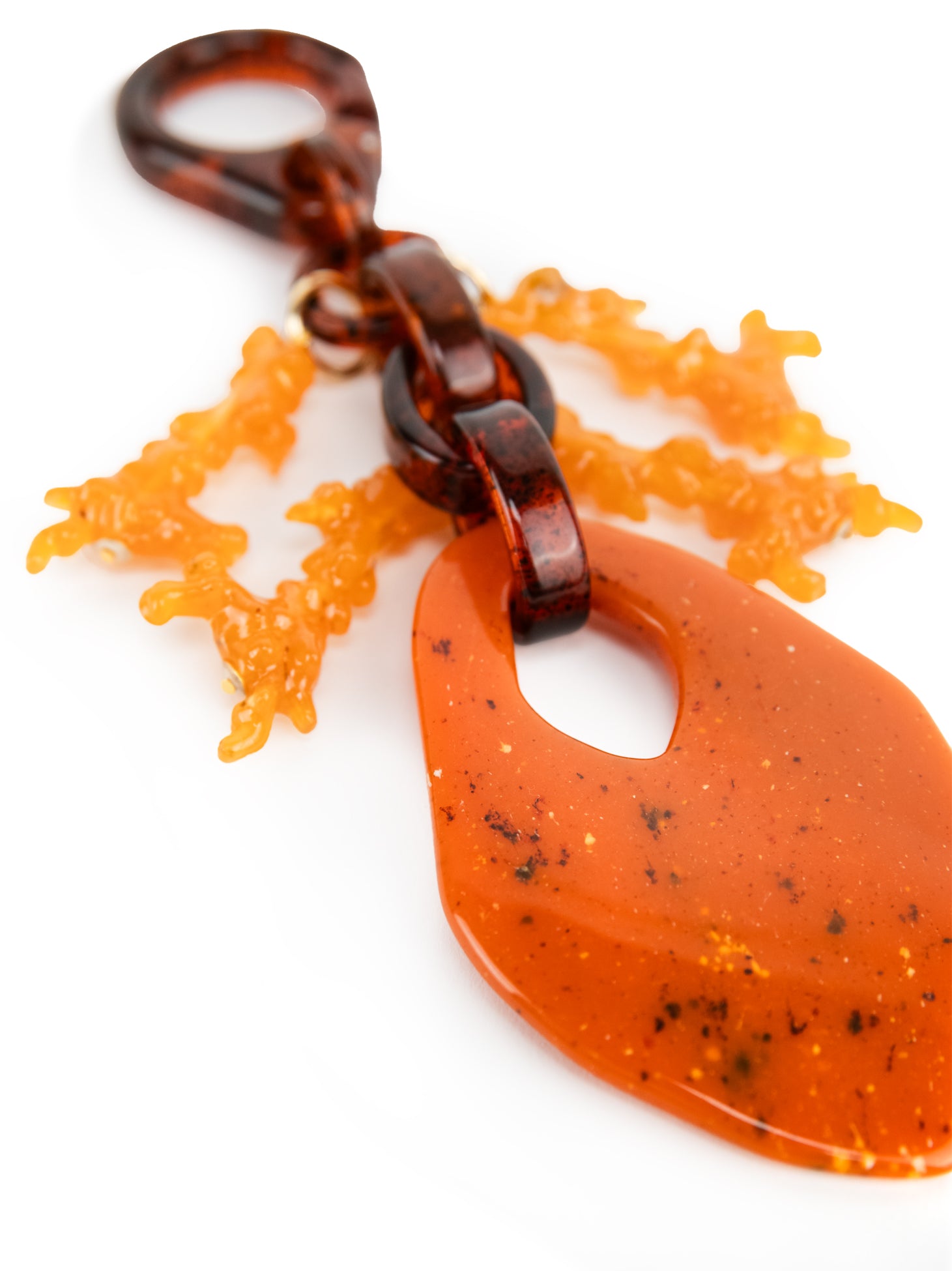 CHARM | CORAL REEF