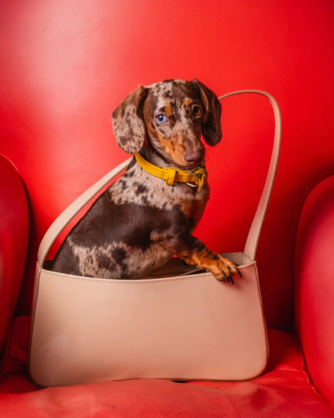 SEVENTY | LIGHT CAPPUCCINO