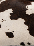 Load image into Gallery viewer, POCAHONTAS | PONY BROWN
