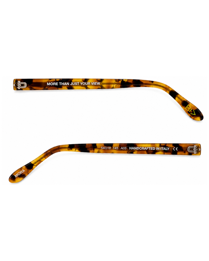 MORA | WILD TORTOISE